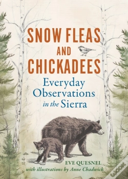 Capa do artigo Snow Fleas And Chickadees