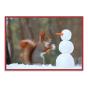 Snow Friends Notecards - Preview