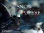 Snow Geese - Preview