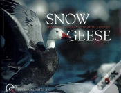 Capa do artigo Snow Geese
