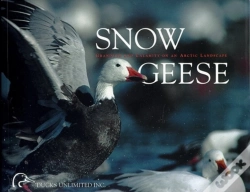Capa do artigo Snow Geese