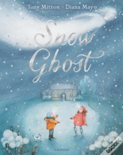 Capa do artigo Snow Ghost