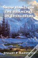 Snow Hangs On The Branches Of Evergreens