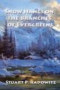 Snow Hangs On The Branches Of Evergreens - Preview