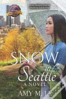 Snow In Seattle