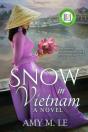 Snow In Vietnam - Preview