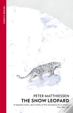 Capa do artigo Snow Leopard