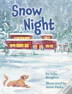 Capa do artigo Snow Night