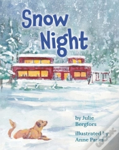 Capa do artigo Snow Night