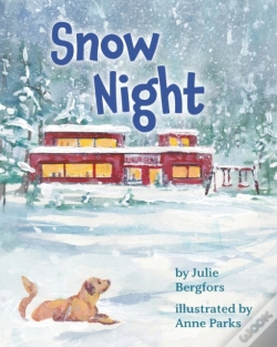 Capa do artigo Snow Night