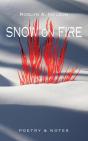 Snow On Fire - Preview