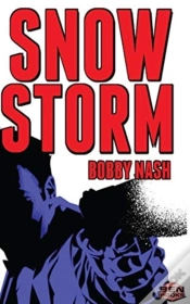 Capa do artigo Snow Storm