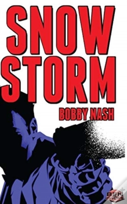 Capa do artigo Snow Storm