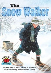 Capa do artigo Snow Walker