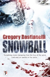 Capa do artigo Snowball