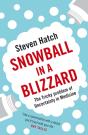 Snowball In A Blizzard - Preview