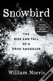 Capa do artigo Snowbird