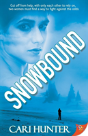 Snowbound - Preview