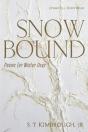 Snowbound - Preview