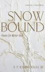 Snowbound - Preview
