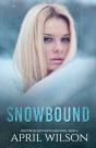 Snowbound - Preview