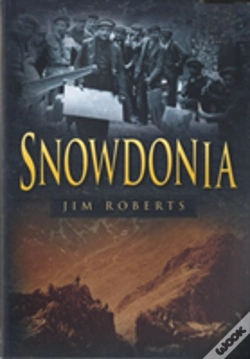 Capa do artigo Snowdonia