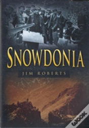 Capa do artigo Snowdonia