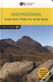 Capa do artigo Snowdonia