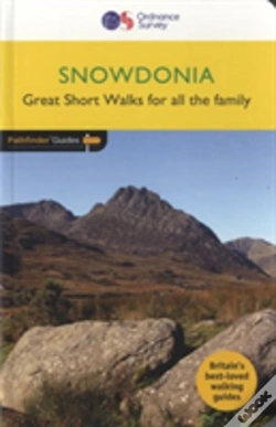 Capa do artigo Snowdonia