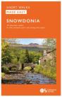 Snowdonia - Preview