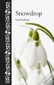 Capa do artigo Snowdrop