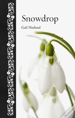 Capa do artigo Snowdrop