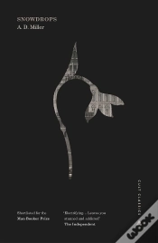 Capa do artigo Snowdrops