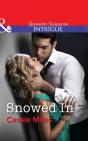 Snowed In - Preview
