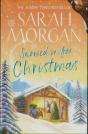 Snowed In For Christmas - Preview
