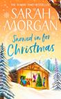 Snowed In For Christmas - Preview