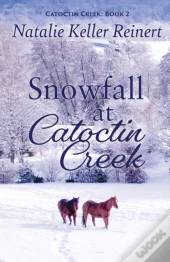 Snowfall At Catoctin Creek