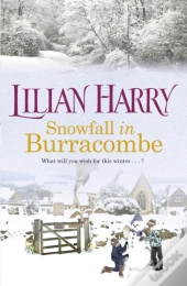 Snowfall In Burracombe