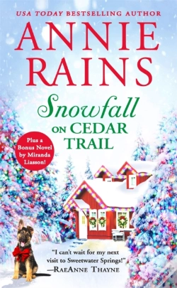 Capa do artigo Snowfall On Cedar Trail