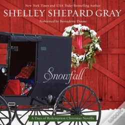 Capa do artigo Snowfall