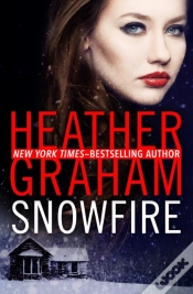 Capa do artigo Snowfire
