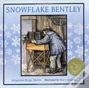 Capa do artigo Snowflake Bentley