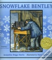 Capa do artigo Snowflake Bentley