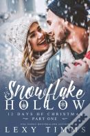 Snowflake Hollow - Part 1