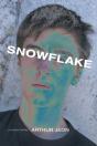 Snowflake - Preview