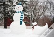 Capa do artigo Snowman & Snowdog Notecards