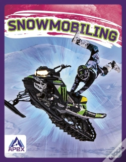 Capa do artigo Snowmobiling