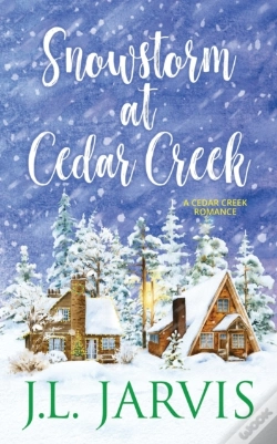 Capa do artigo Snowstorm At Cedar Creek