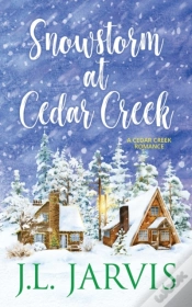 Capa do artigo Snowstorm At Cedar Creek
