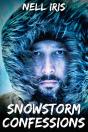 Snowstorm Confessions - Preview